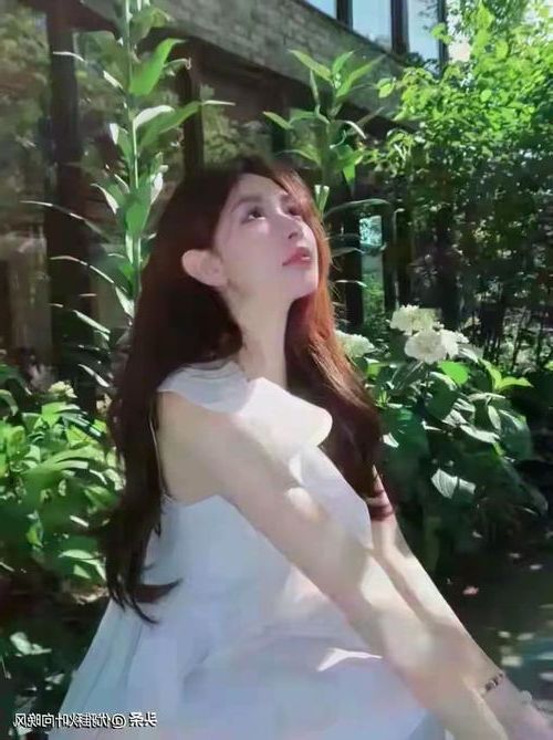 10232.jpg